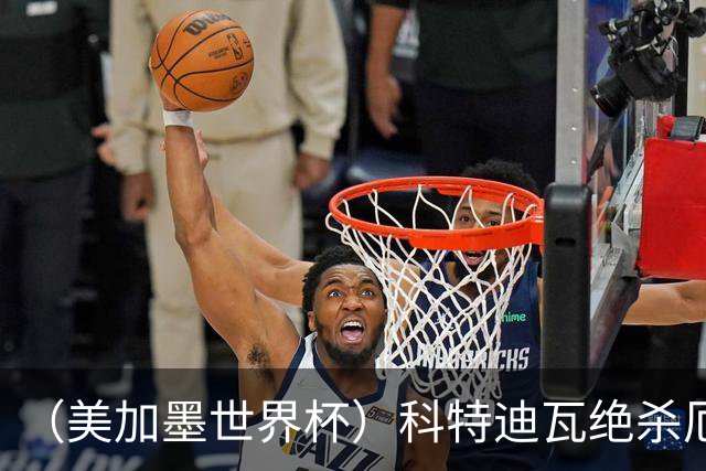 （美加墨世界杯）科特迪瓦绝杀厄瓜多尔 瑞典5:1大胜突尼斯